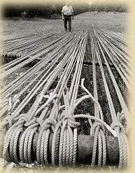 Dub Grant Ranch Rope