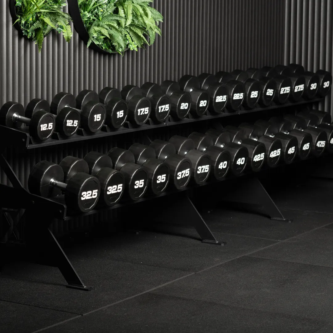 Xpeed Premium 1-60kg CPU Dumbbell Set   Rack